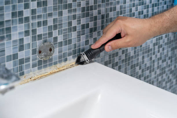 Best Insurance-Related Mold Remediation in Edgard, LA